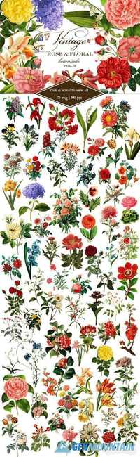 Vintage Rose & Floral Botanicals 3 532741