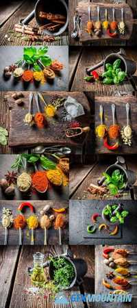 Various Herbs and Spices on Spoons