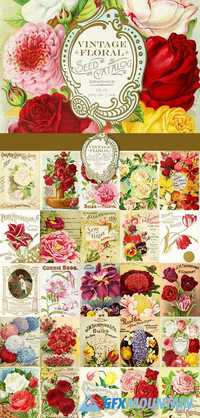Vintage Floral Seed Catalog Graphics 496725