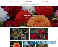 FC FLOWER - Shop Template - CM 946698