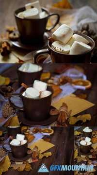 Cup of Hot Chocolate, Coffee with Marshmallow