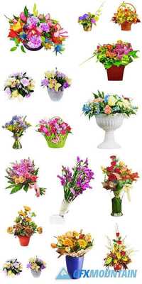 Colorful Flower Bouquet Isolated