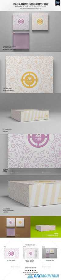 Packaging Mock-ups 107 - 10803429