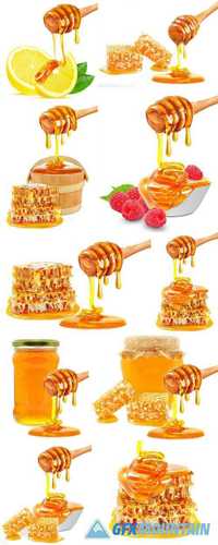 Honey and Honeycombs Isolated