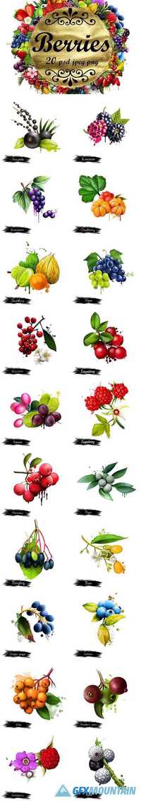 BERRIES. DIGITAL ART COLLECTION 1 - 1296923