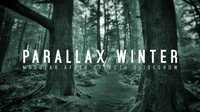 Parallax Winter 18013193