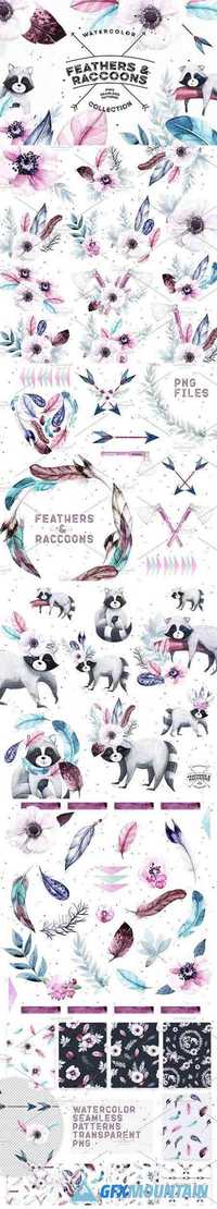 Watercolor Feathers & Raccoons 1329017