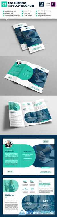 Pro Business Tri-Fold Brochure V03 19444150