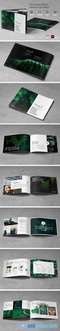 A5 Decorative Plants Brochure 1360741