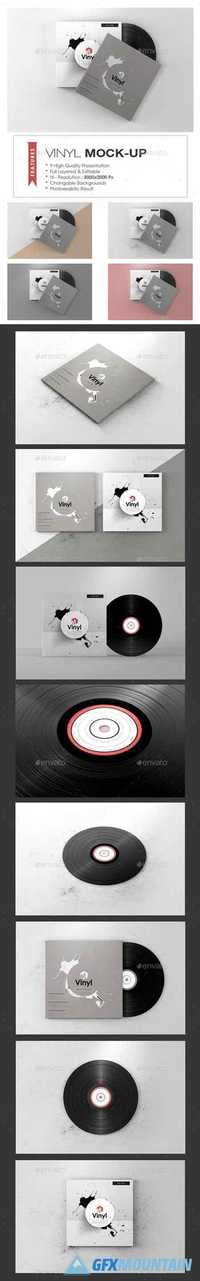 Vinyl Mock-up 19758502