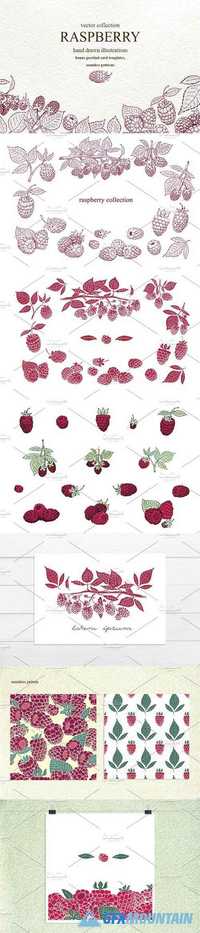 Vector Raspberry Collection 1349786