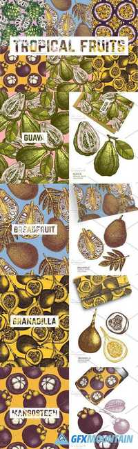 Tropical Fruits Patterns Collection 1490854