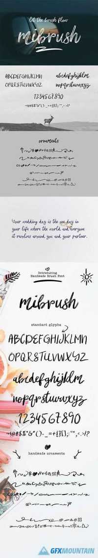mibrush-a brush in your hand 1570335