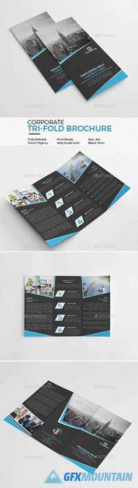 Corporate Tri-Fold Brochure 20090205