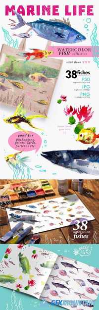 38 WATERCOLOR FISHES - 1522781