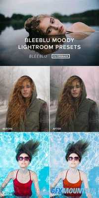 Moody Lightroom Presets by Bleeblu