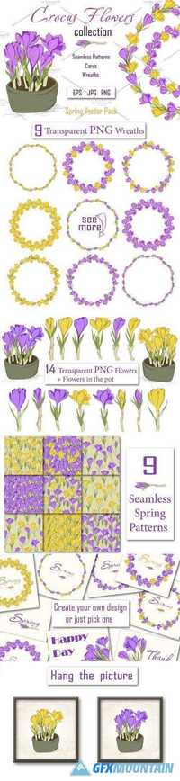 Crocus. Spring Flowers collection 597555