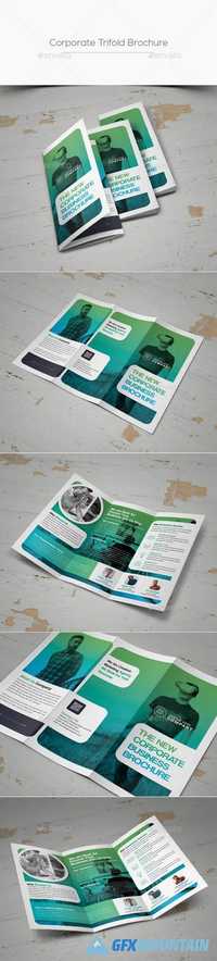 Trifold Brochure 20175694