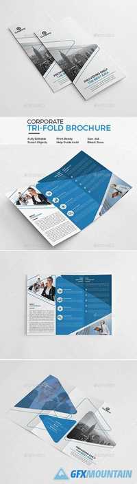 Corporate Tri-Fold Brochure 20172520