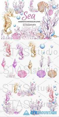 Ocean Watercolor Clipart Seahorse 1572240