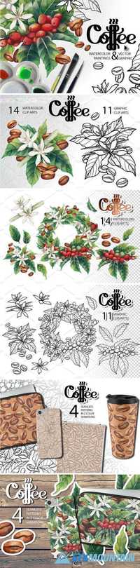 WATERCOLOR AND GRAPHIC COFFEE PLANTS - 1643046