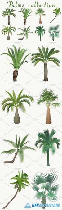 Exotic tropical realistic palm tree 1326593