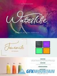 Waterlife Script Font 1685826