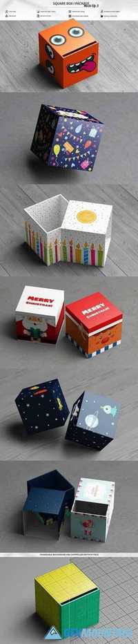 Square Box Package Mock-Up 3 1655939