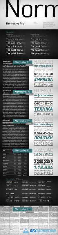 Normative Pro Font Family