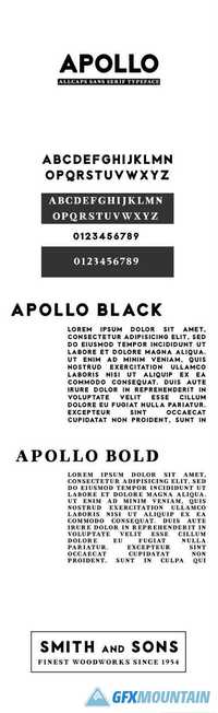 Apollo Fonts Sans Serif 1814620