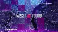 Target Found 17651435