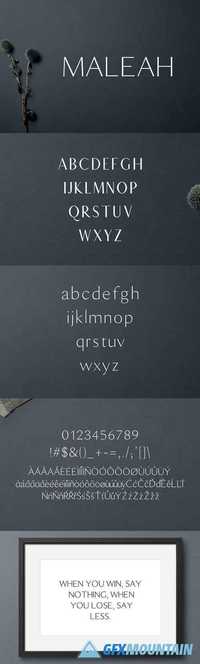 Maleah Sans Serif 2 Font Family Pack