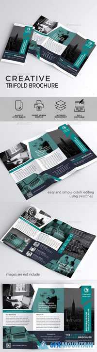 Trifold Brochure 20717240