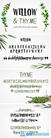 Willow & Thyme with Logo Ornaments 1932272