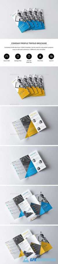 Trifold Brochure Template 20919347