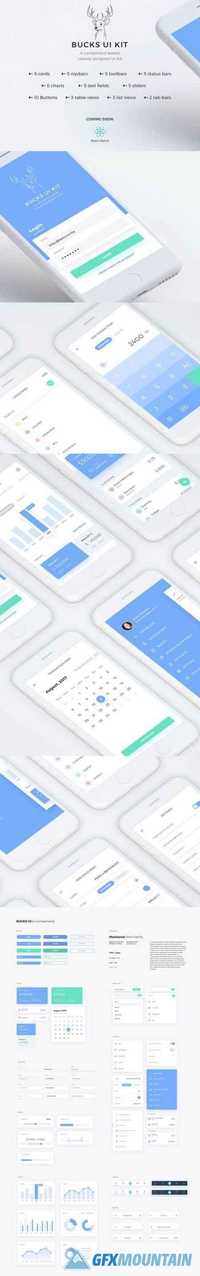 Bucks UI Kit - Finance inspired iOS mobile UI Kit compatible with Sketch