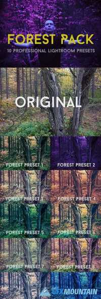 Forest Pack 10 Professional Lightroom Presets 21133049