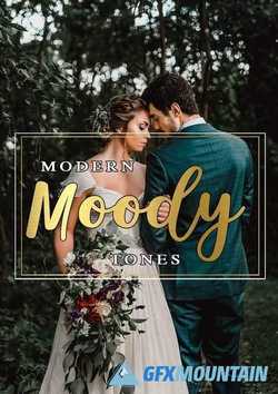 Modern Moody Tones Lightroom Preset 2207875
