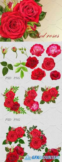 Collection of red roses 2246244