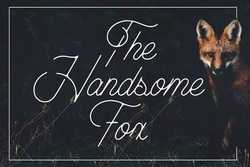 The Handsome Fox 2202911
