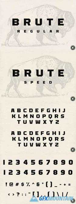 Brute Font