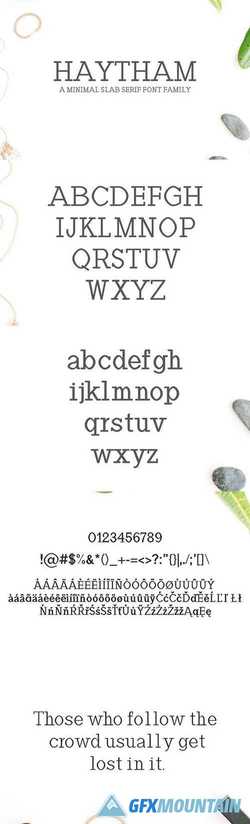 Haytham Slab Serif 7 Fonts Packs