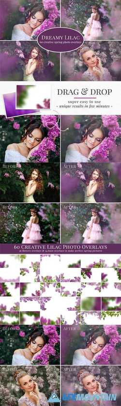 Dreamy Lilac photo overlays 2348731