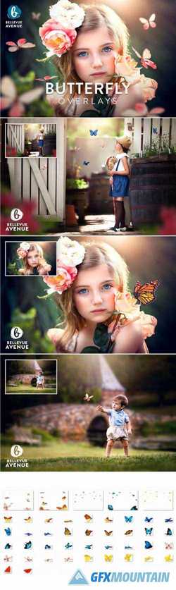 BUTTERFLY OVERLAYS (REAL) - 2294970