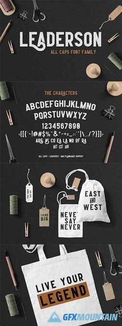 Leaderson Font Family  2298867