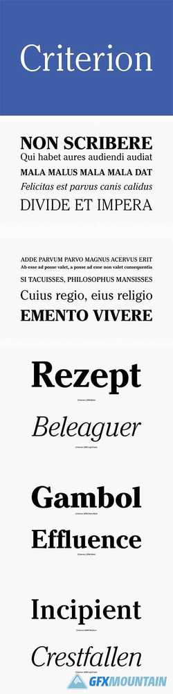 Criterion Font Family