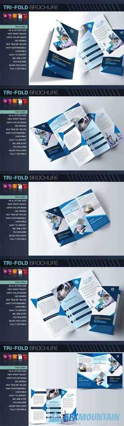 Tri-fold Brochure 2508312