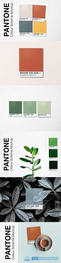 Pantone Colour Scheme Mockup 2389765
