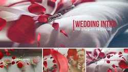 Wedding Intro 14584906 