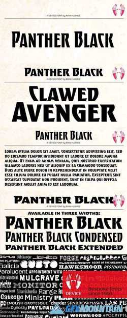 Panther Black Font Family